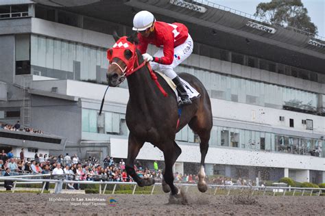 sportsbook hipodromo de las americas|Vívelo a tu manera. .
